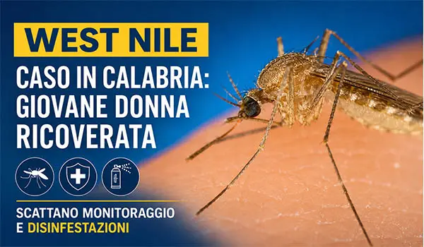 Caso di West Nile a Catanzaro, giovane donna ricoverata