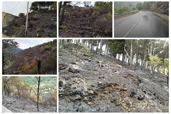 Domato lo Spaventoso Incendio di Gimigliano