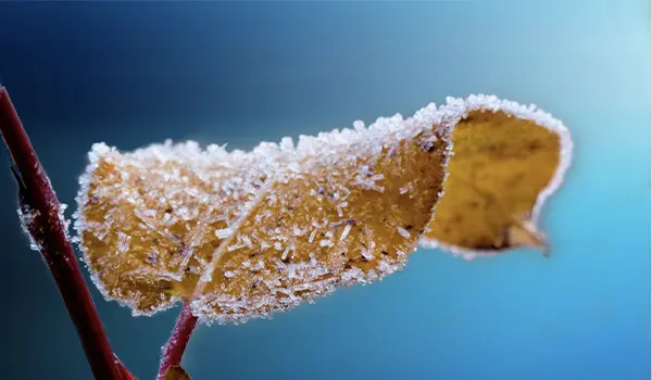 Meteo Capodanno 2026: aria artica in arrivo sull’Italia, freddo e calo termico tra San Silvestro e 1° gennaio 2026