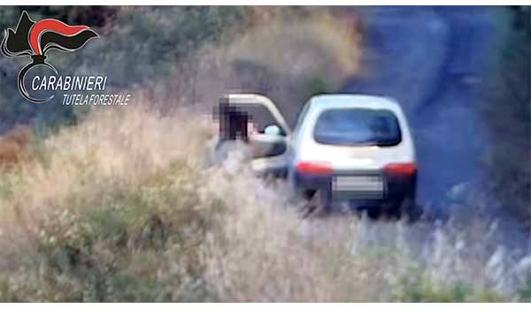 Acri, incendio del 25 luglio: uomo ai domiciliari su ordine del G.I.P. di Cosenza. Video dei Carabinieri Forestali