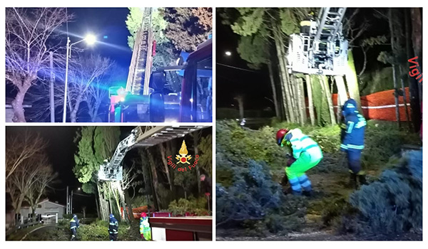 Tiriolo, alberi pericolanti sulla SS19: intervento urgente dei Vvf per la sicurezza stradale