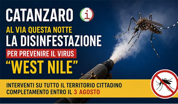 Catanzaro, al via la disinfestazione straordinaria contro le zanzare per prevenire il virus West Nile: ecco il calendario e le zone interessate