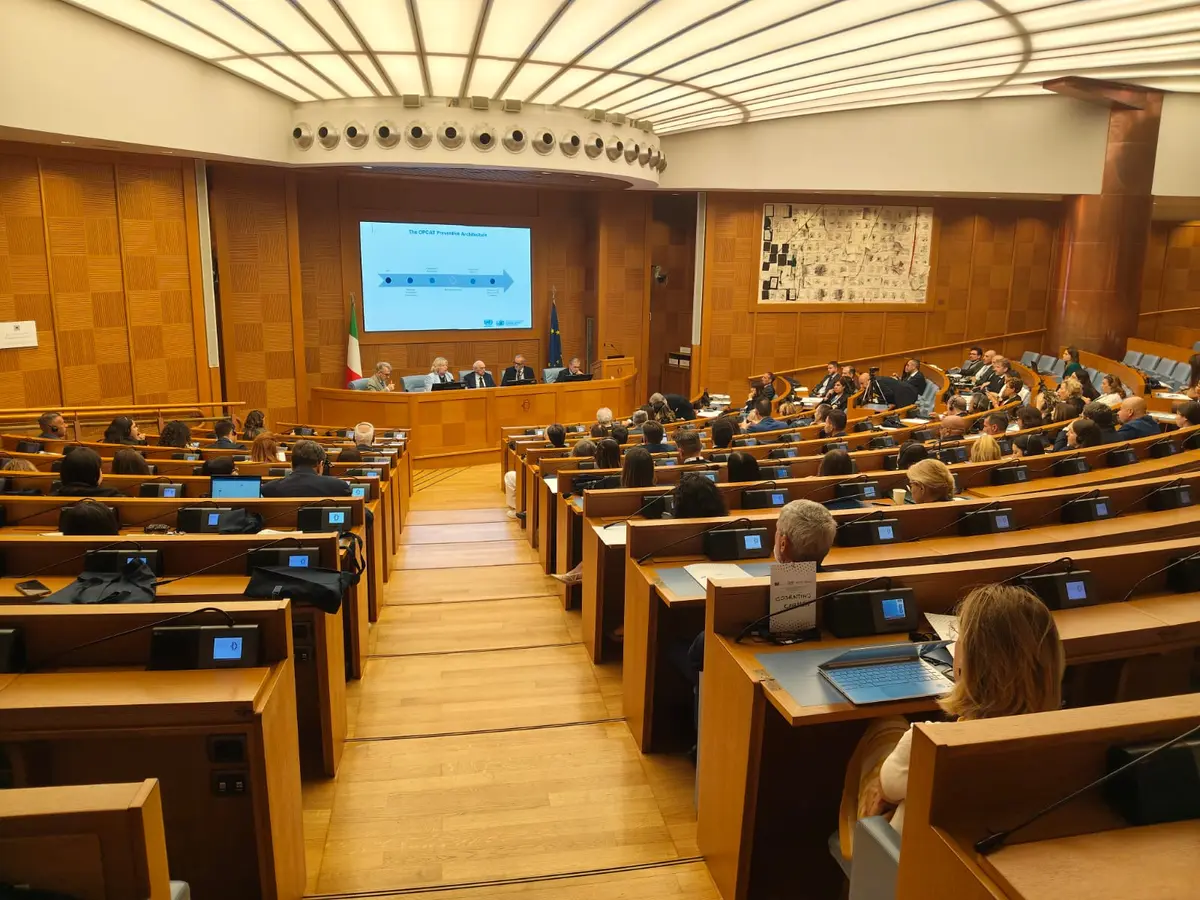 Rimpatri forzati e tutela dei diritti”, il progetto FAMI al centro del convegno del Garante privati di libertà personale