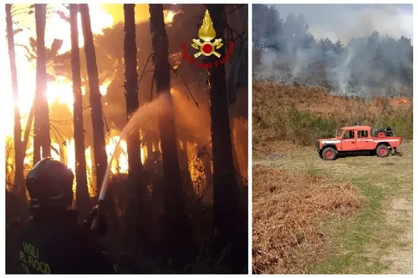 Caldo e incendi in Calabria: oltre 55 interventi dei Vvf.