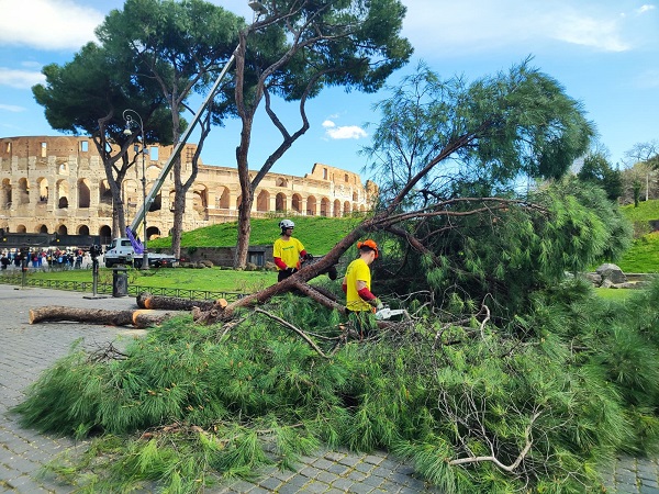 L’associazione CURAA schierata a Roma contro l’abbattimento degli alberi