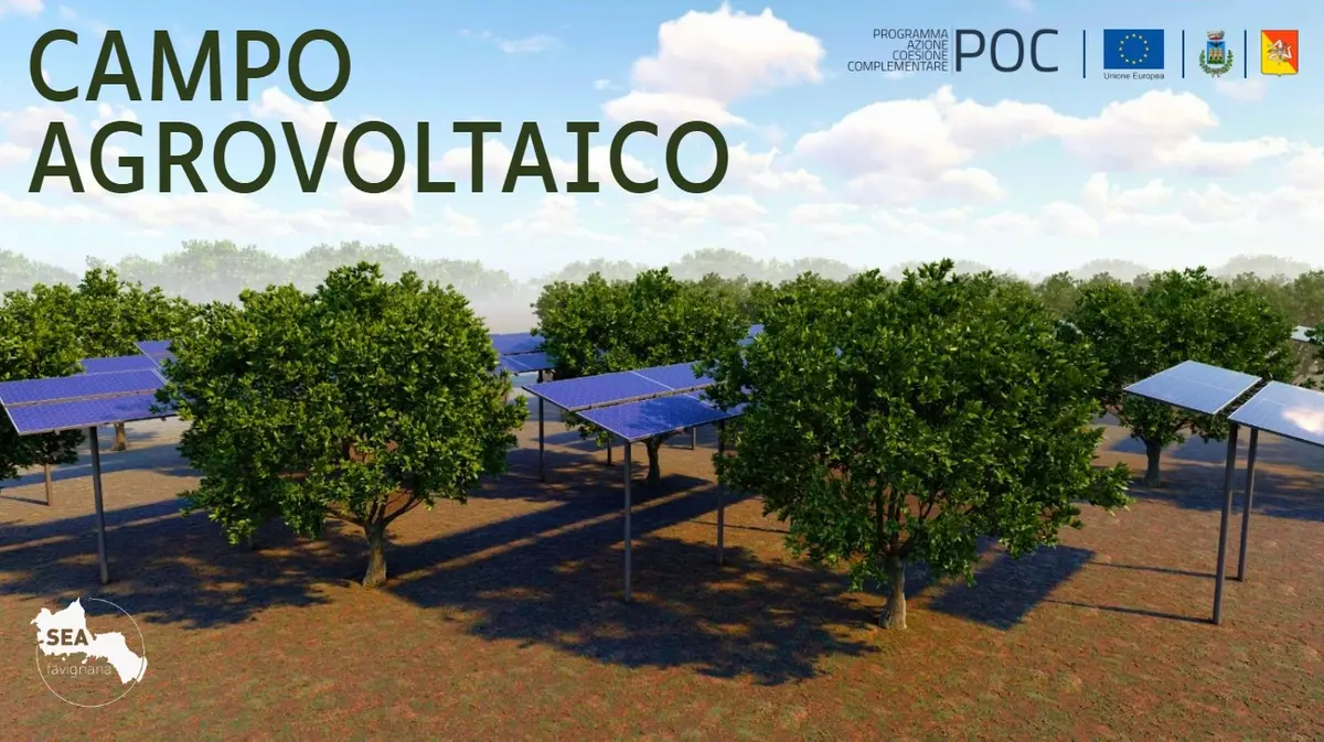  Innovazione energetica sostenibile, SEA Favignana punta sull’impianto agrivoltaico: previste riduzioni di oltre il 20% delle emissioni