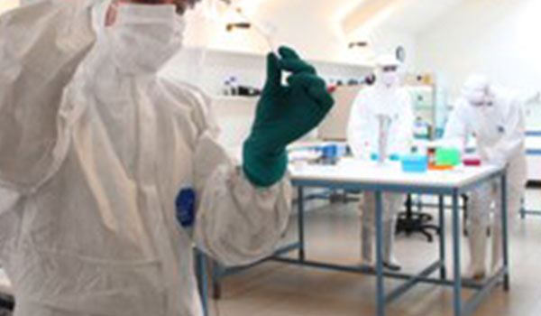San Luca, resti in auto incendiata: si attende l’esito del DNA (Aggiornamenti)