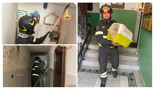 Modulo dei Vvf dalla Calabria ai Campi Flegrei per assistenza e verifiche strutturali