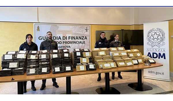 Droga nascosta tra le scatolette di tonno: maxi sequestro al porto di Genova