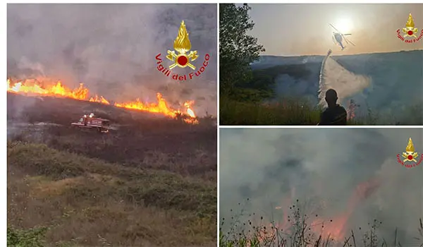 Emergenza incendi nel Vibonese, oltre 30 interventi dei Vvf in 12 ore