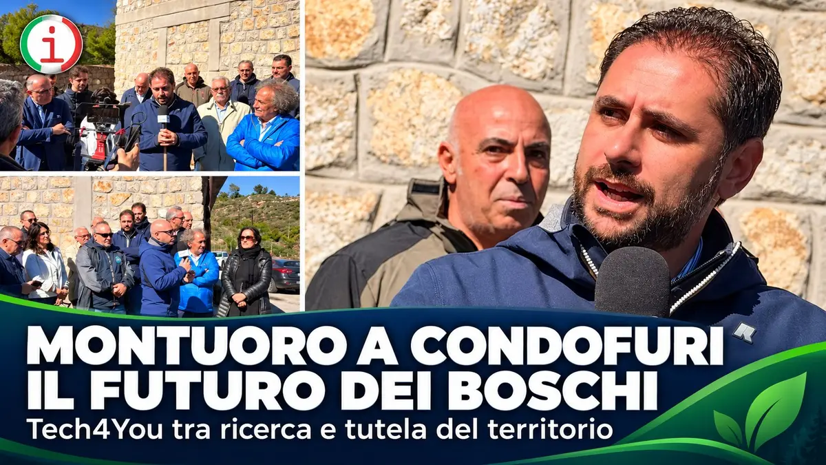 Montuoro a Condofuri per Tech4You nuove prospettive per i boschi colpiti dagli incendi