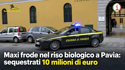 Maxi frode nel riso biologico a Pavia: sequestrati 10 milioni di euro