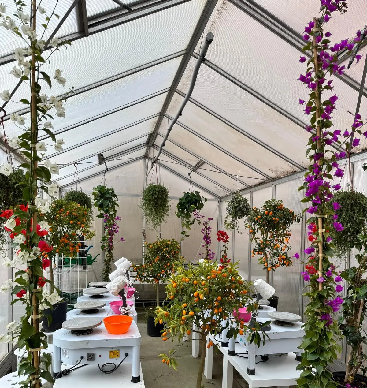 UN'ECO-SERRA si trasforma in laboratorio ceramico