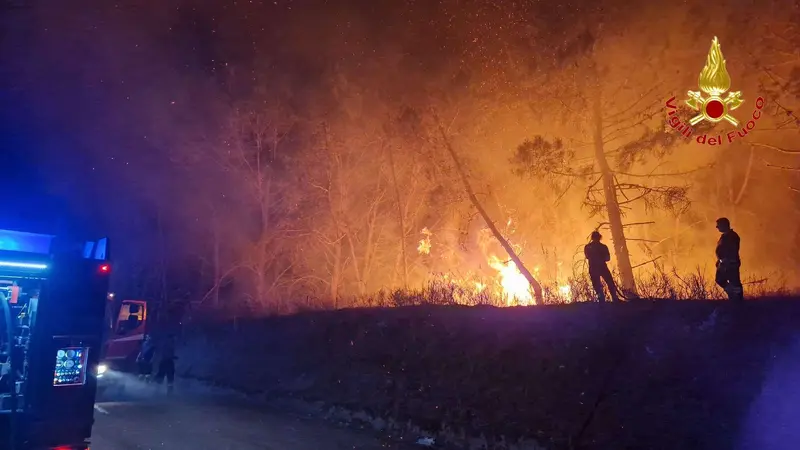 Emergenza incendi nel Vibonese, oltre 30 interventi dei Vigili del Fuoco: distrutti più di 100 ettari a Torre Galli