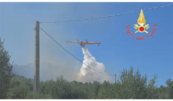 Incendio boschivo in località Cutruzzo, comune di Borgia (CZ)