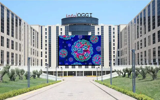 Hantavirus in Calabria, istituita la cabina di regia regionale per prevenzione e sorveglianza