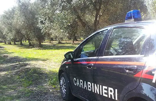 San Luca, fuoristrada in un burrone con animale bruciato: scomparso un uomo