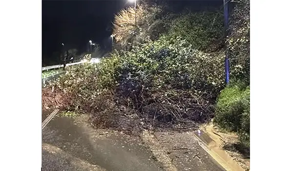 Maltempo nel Vibonese: smottamento travolge un’auto sulla SS18, conducente salvato dai vigili del fuoco