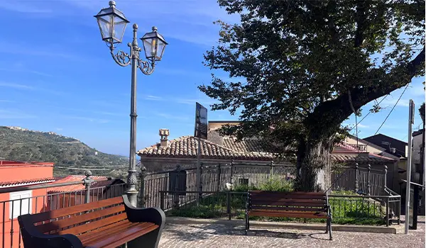 Montepaone illumina l’ultimo Albero della Libertà d’Italia: tutela, memoria e fruizione contemporanea