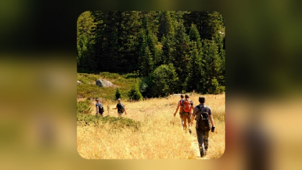 Gite fuori porta: con la bella stagione cresce la voglia di outdoor su Wallapop