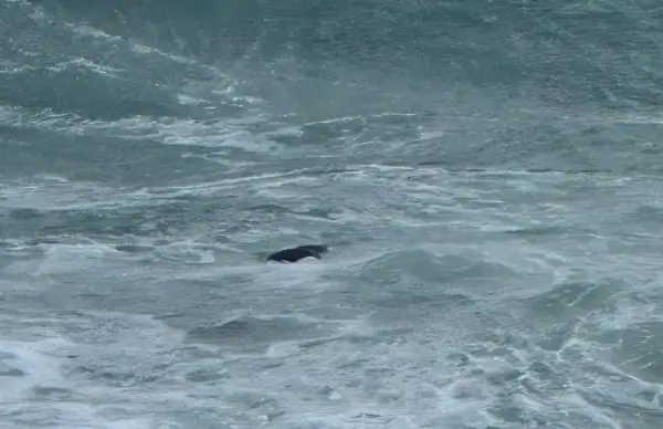 Vescovi calabresi sui migranti morti in mare: “Non possiamo rispondere con il silenzio”