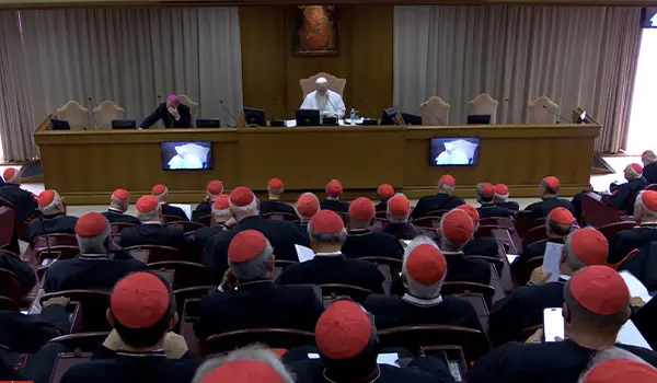 Papa Leone XIV incontra i cardinali: “Insieme per una Chiesa fedele al Concilio e vicina all’umanità” (Video)