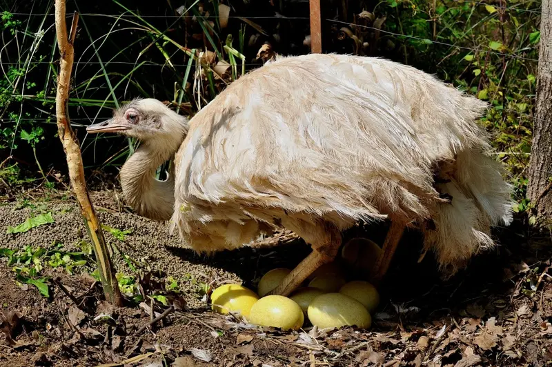 Pasqua al Bioparco: il 3, 4 e 5 aprile le iniziative per le famiglie 