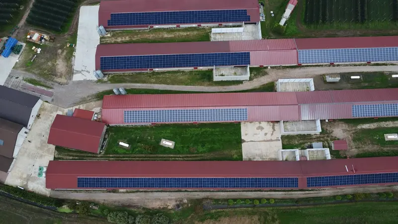 Agrisolare: ammessi cinque nuovi progetti di White Energy Group