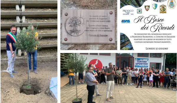 Il Bosco dei Ricordi a Zagarise, un albero per custodire la memoria dei giovani scomparsi