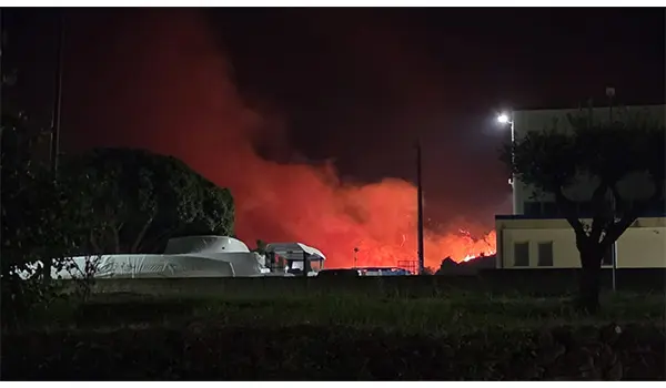 Paura a Roccelletta di Borgia: vasto incendio in collina minaccia villette e locali
