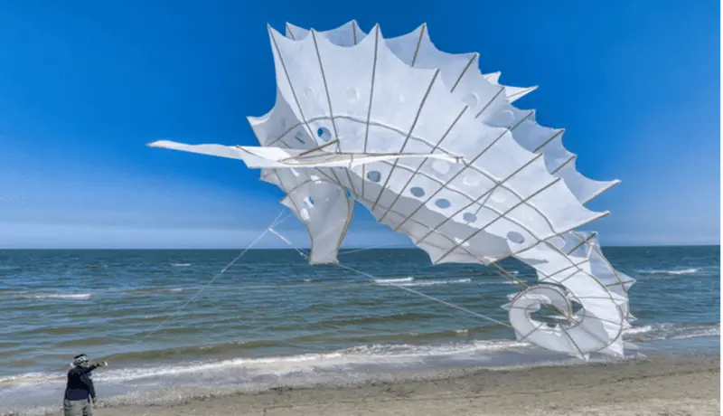 ARTEVENTO Cervia torna con la 46° edizione: tra gli highlights la mostra inedita dedicata all’Olanda e il collettivo artistico Bimana dalla Colombia