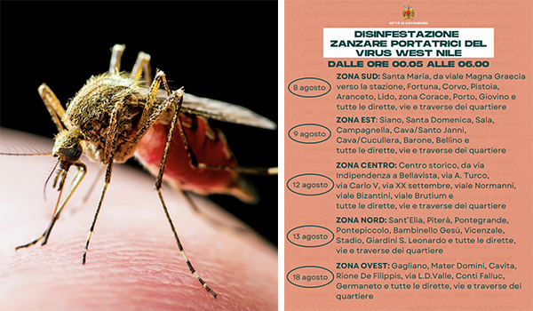 Virus West Nile: nuova disinfestazione anti zanzare a Catanzaro