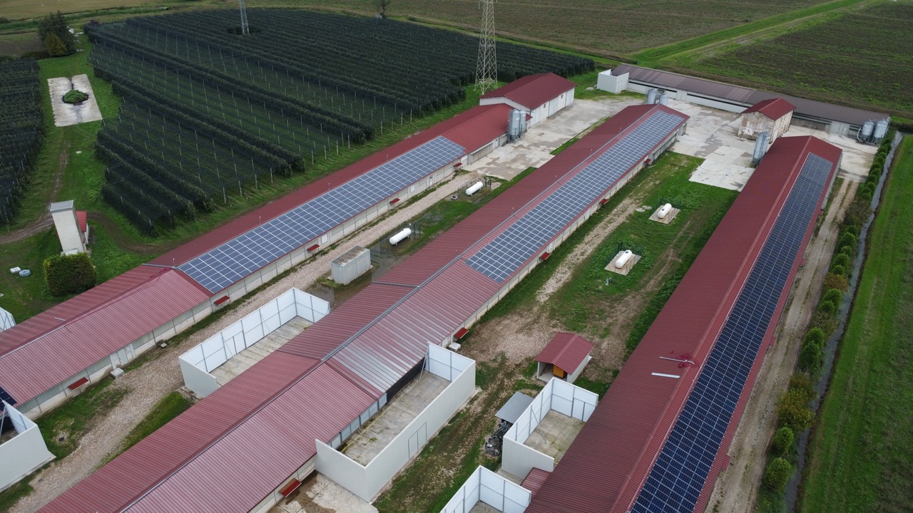  MANIFATTURA A RISCHIO BLACKOUT:  DI WHITE ENERGY GROUP