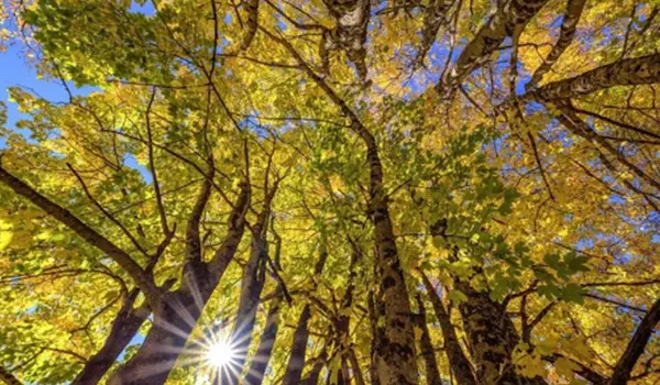 Previsioni meteo: Ottobrata in arrivo: sole al Sud, nubi e piogge al Nord