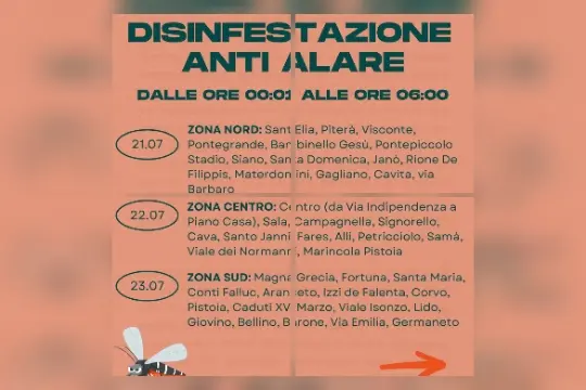 Disinfestazione anti-alare a Catanzaro: calendario e avvertenze