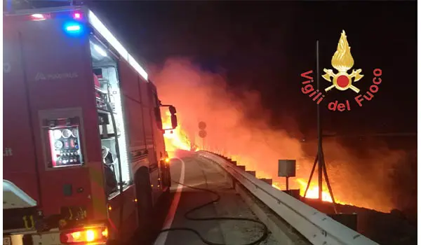 Calabria nella morsa del caldo, oltre 200 interventi dei Vvf per gli incendi di vegetazione