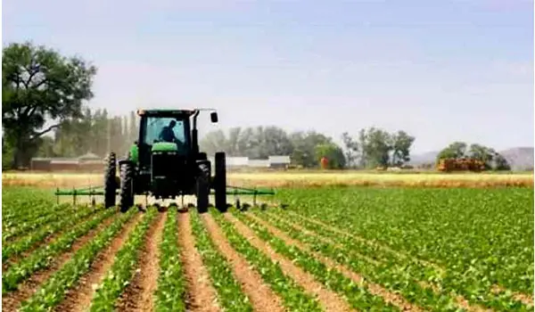 Gasolio agricolo alle stelle in Calabria: +46% in dieci giorni. Copagri lancia l’allarme sui costi per gli agricoltori