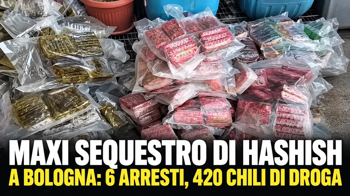 Maxi sequestro di hashish a Bologna: sei arresti e 420 chili di droga