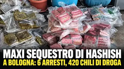 Maxi sequestro di hashish a Bologna: sei arresti e 420 chili di droga