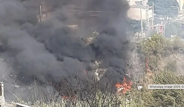 Incendio a Catanzaro nel quartiere Cava: fiamme minacciano le abitazioni, intervento dei Vvf