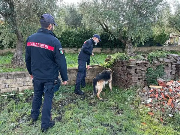 Armi clandestine nascoste nel cortile di casa: arrestato un uomo
