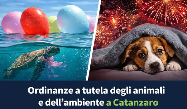 Ordinanze per la tutela degli animali e dell’ambiente: Catanzaro sceglie responsabilità e sostenibilità