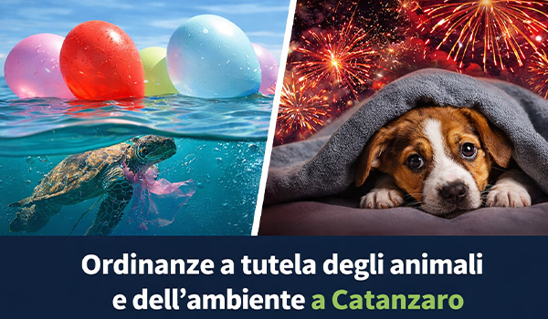 Ordinanze per la tutela degli animali e dell’ambiente: Catanzaro sceglie responsabilità e sostenibilità