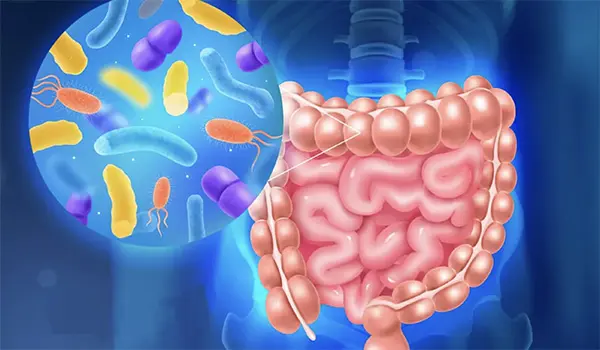 Intestino pigro: una guida per migliorare con piccoli gesti quotidiani