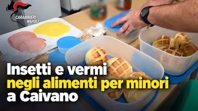 Insetti e vermi negli alimenti per minori a Caivano: sequestri e denuncia per la cooperativa
