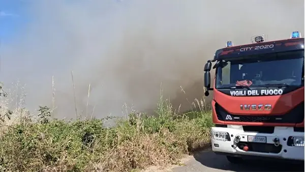 Vasto incendio nella zona industriale di Vibo Valentia: mobilitazione per salvare i cani del rifugio Argo