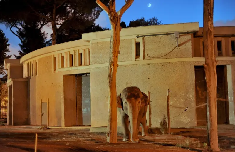 ‘IL BIOPARCO AL TRAMONTO’: prolungamento orario straordinario fino alle 21.30 