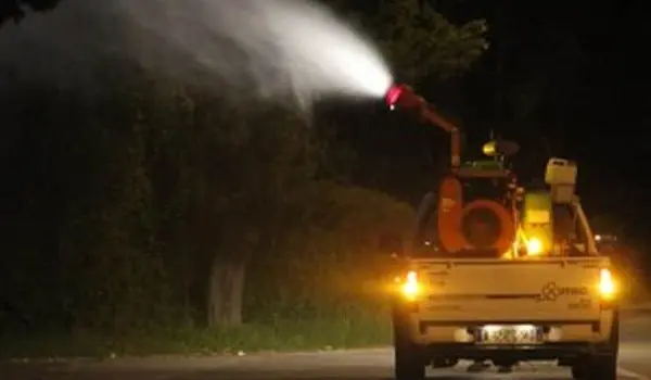 Disinfestazione anti-alare a Catanzaro: calendario e precauzioni per giugno 2025