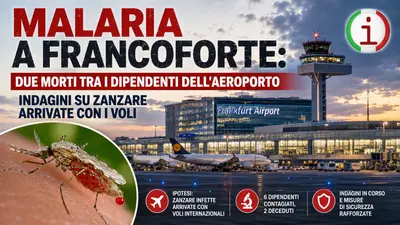 Malaria a Francoforte: due morti tra i dipendenti dell'aeroporto, indagini su zanzare arrivate con i voli