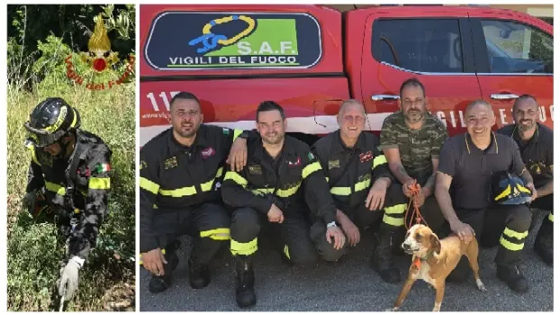 Domanico, tenta di salvare il suo cane e precipita in un dirupo: provvidenziale l'intervento dei Vvf